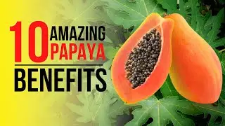 Mga SAKIT na kayang pagalingin Ng PAPAYA | Health Benefits of PAPAYA