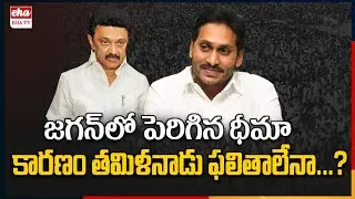 Jagan Confidently says YCP will Win in 2029 Elections | Tamilnadu | Political Analysis | EHA TV