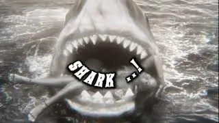 Song English and Spanish remix dance music 🎶 🎧 🖤 (Shark)song by nana 75 