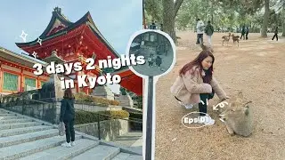 Part 1: Kyoto winter trip - Maccha House | Nakatanidou | Nara Park 🇯🇵