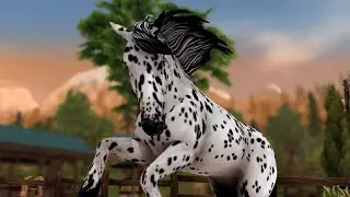 Mustang Makeover 2025 Part 1