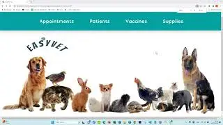Personal Project - EasyVet - Veterinary App