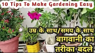 Change Your Gardening Patterns Due To Ageing Process/Busy Schedule #10 Tips To Make Gardening Easy