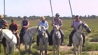 Les fr&eacute;ros coupo santo