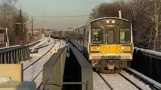 Chilling out in the snow at Babylon/Lindenhurst. 2/8/21