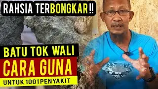 Batu Tok Wali Tabasher, Penawar 1001 Jenis Penyakit Rupanya!