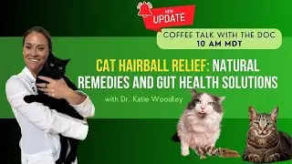 Cat Hairball Relief: Natural Remedies and Gut Health Solutions - Holistic Vet Advice