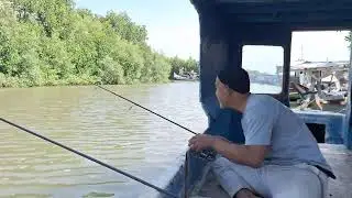 Dulur mancing 88 fishing  !! #fishing