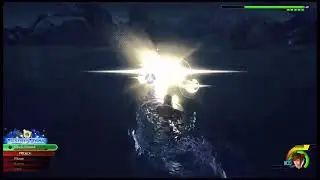 Aquanort Boss fight Level 1 Critical Mode