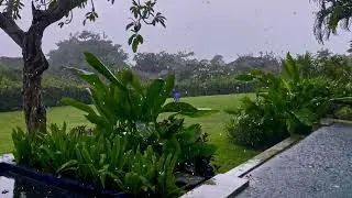 Rainfall in a Lush Garden with Pool | Nature Sounds for Relaxation & Sleep