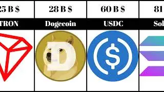 Top 20 Cryptocurrencies by Market Cap in 2025 🚀 | Crypto Ranking & Insights