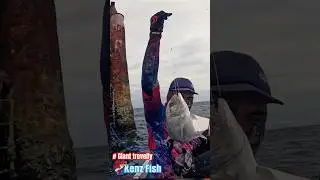 GIANT TREVELLY || #fishing #gianttrevally #shorts #viral #fyp #video