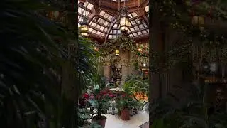The Winter Garden at Biltmore House during this year&rsquo;s #ChristmasatBiltmore celebration 🎄 | Biltmore
