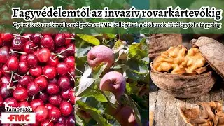 Van megoldás a dióburok-fúrólégy ellen? Létezik hatékony fagyvédelem? Így terjed a cseresznyelégy?