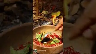 wild kitchen