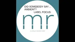 Did Somebody Say...Ambient? Artist Focus: Episode 3: Momentarily Records