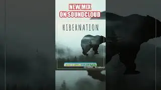 HIBERNATION MIX // December update DJ mix