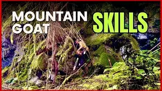 176. Cliffside Trees | Mossy Rockface Scramble
