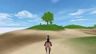 New BUGS and LIFEHACKS Star Stable Online
