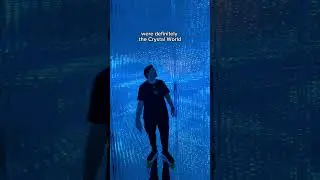TEAMLAB BORDERLESS GUIDE