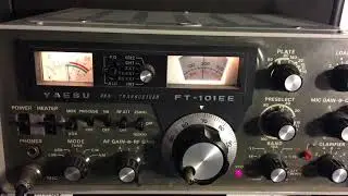 FT101EE