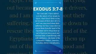 Daily Devotional Today - Exodus 3:7-8 &ndash; August 29, 2023