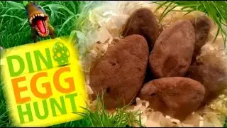 Homemade Dinosaur Egg Excavation, Perfect for Dino Egg Hunt!!!