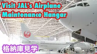 Visit JAL 's Airplane Maintenance Hangar  -  Melihat Garasi Pesawat terbang  JAL Japan