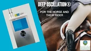 DEEP OSCILLATION&reg; for Equine Athletes