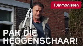 Wat doe je in februari in de tuin? 2022 | Februari | Tuinmanieren