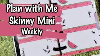 Plan with ME 🍉🐜 My FIVE MINUTE ⏲️ Skinny Mini Weekly spread with cute ants and watermelon!