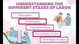 Stages of Labor; Dilation of the Cervix, Delivery of the Baby, Placenta