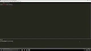 Division Characteristics in python