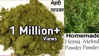 मेहंदी पाउडर कैसे बनाते हैं। Homemade Henna Powder.Homemade Mehndi Powder.Homemade Mehndi Powder.