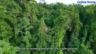 Srilankan Village