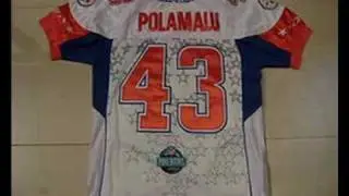 Discount NFL Jerseys, Football Jerseys For Sale, Jerseys T Shirts