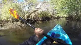 Kitching creek JAN18