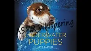 ASMR Underwater Puppies Book (Soft whispering)