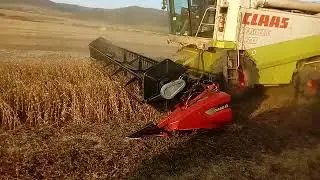 Lexion 480 and Case 2020 25feet flex header for soya soyaflex, superflex.