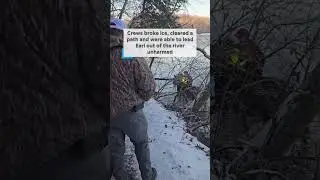 Mule rescued from frozen TN river after ice storm