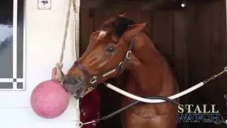 Vyjack at Churchill Downs