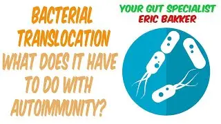 What Is Bacterial Translocation and What Does It Have To Do With Autoimmunity?