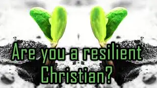 Barna Research Group: Just 20% of U.S. Christians Are Resilient Disciples.