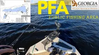 Fishing Georgia PFA for BASS! (Public Fishing Area)