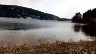 Majestic