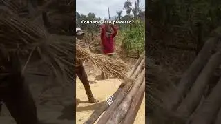 Dizem que bater arroz s&oacute; presta com sol quente. Concorda?🤔😂🤠