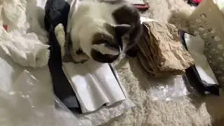 ORGANIZING UPCYCLED PACKAGING MATERIALS