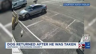 Woman's missing dog returned after video shows pet being taken from Antioch warehouse