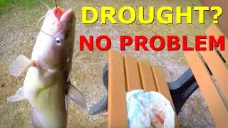 🔥🔥 FISHING DURING SEVERE DROUGHT? 🔥 DO THIS!! 😮 #nature #youtube #fishing