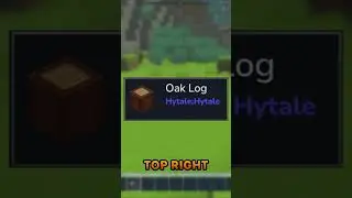 You Need This Mod in HYTALE!